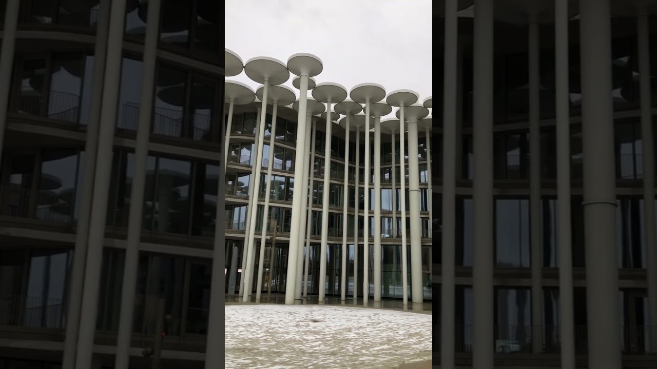 Steinpalmen, Leipzig,  Sachsen, Germany