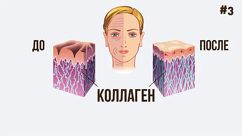 Что Будет, Если Есть 4 Миндальных Ореха Каждый День