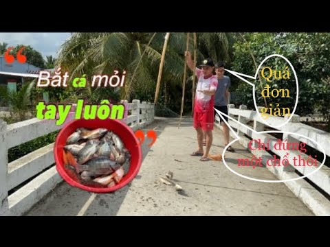 Video: Cách Bắt Cá Trên Sông