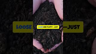 How Cover Crops Can Save Your Garden Soil Fast