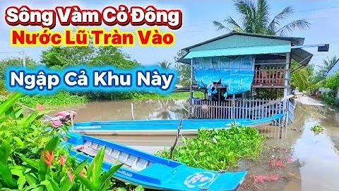 Khám Phá Con Đường Nước Lũ Sông Vàm Cỏ Đông Tràn Vào " Tây Ninh Ngập Hết Cả Khu Này | Cuộc Sống Quê
