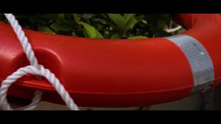 Is The Zhiyun Crane 2 The Ultimate Gimbal? Stability Test & First Look