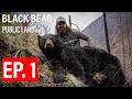 Spring black bear hunt   gritty 4k film