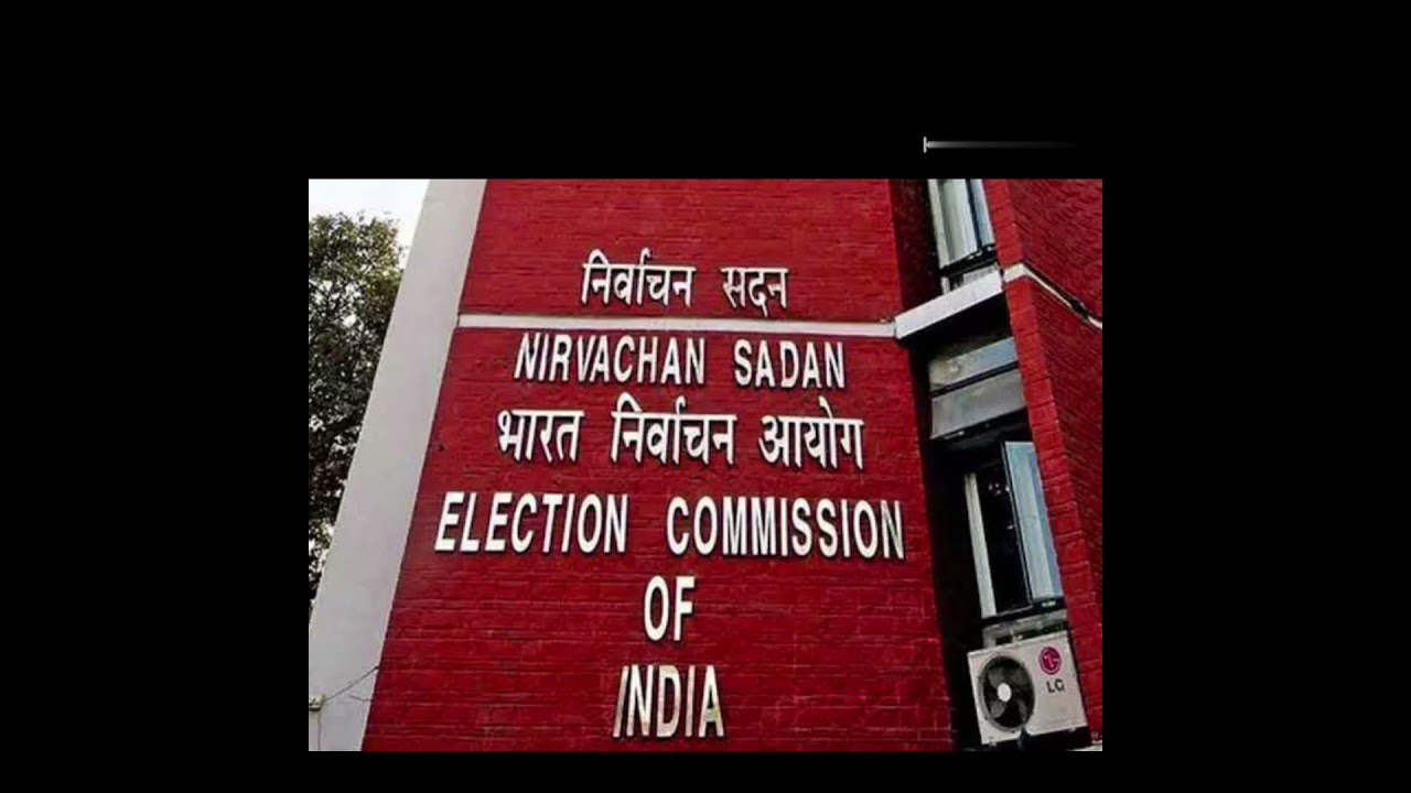 all time great supporter