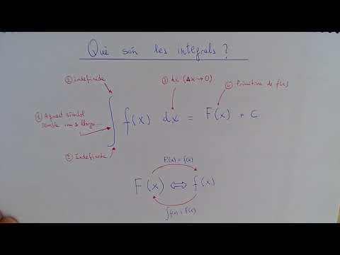 Vídeo: Què Són Les Integrals