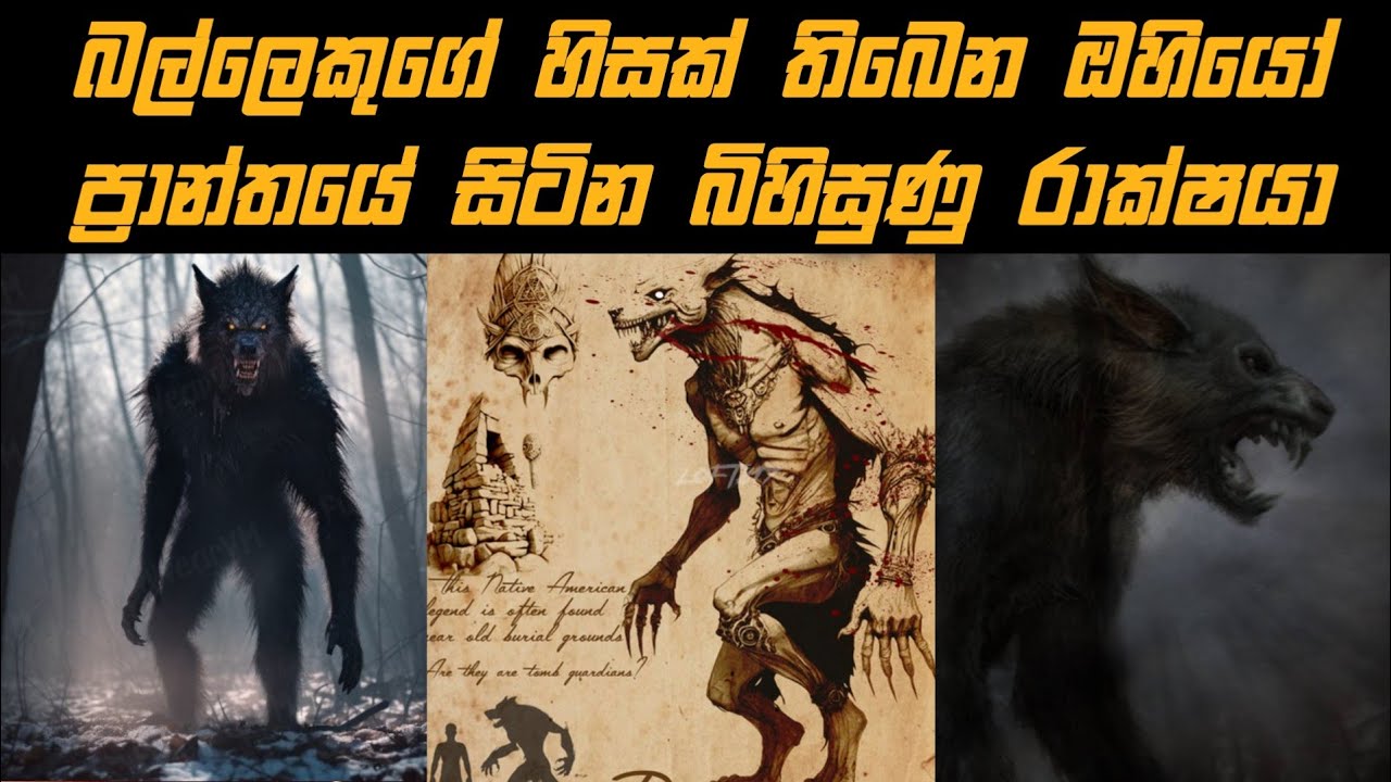 මිනිසෙක්ද? වෘකයෙක්ද? මොකක්ද මේ Dogman අභිරහස? | The Legend of Dogman ...