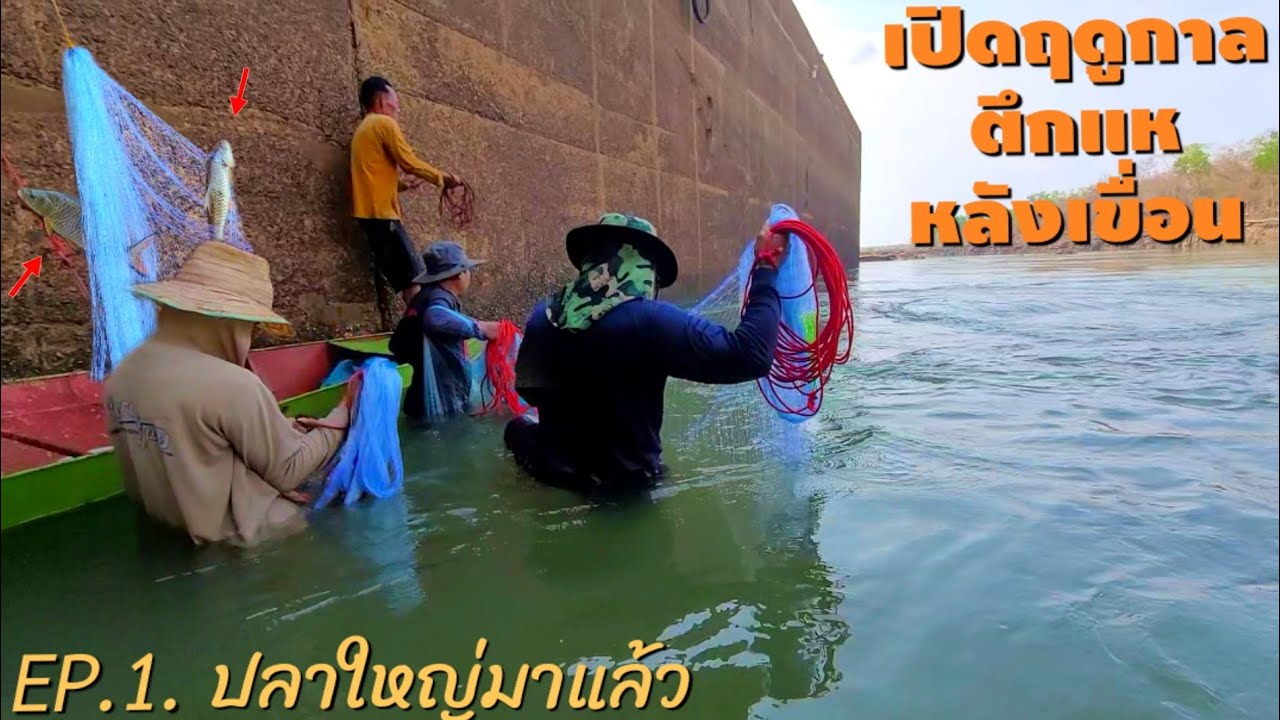 EP.1 เปิดฤดูกาลตึกแห่หาปลาหลังเขื่อนปีนี้ ปลาใหญ่มาฮอดแล้ว ปลาอีขัวใหญ่ ปลาโจก ปลาน้อยบ่ทนปลด