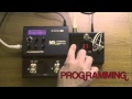Gecko from One Control