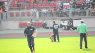 TSB - BSZS 2014 - 1209 Team Bulle Hof Kortes