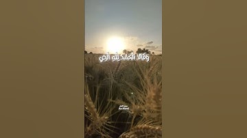 سوره النمل An-Naml #سورة_النمل #محمد_أيوب_عاصف #قران_كريم #قرآن #اكسبلور #ارح_قلبك #explore #قمح#fyp