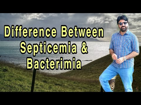 Conceptual difference between Septicemia and Bacteremia explained in English