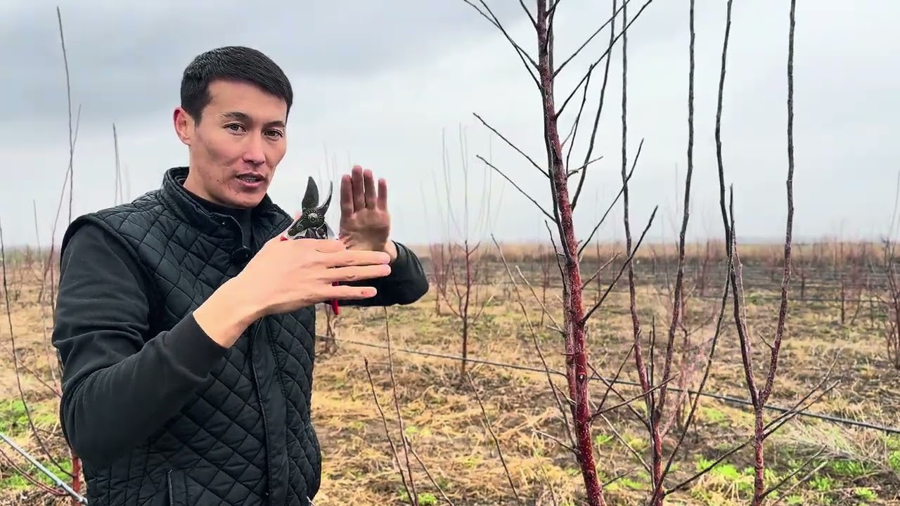 Бакты бутоодо бул 5 ыкманы сөзсүз билишиңиз керек