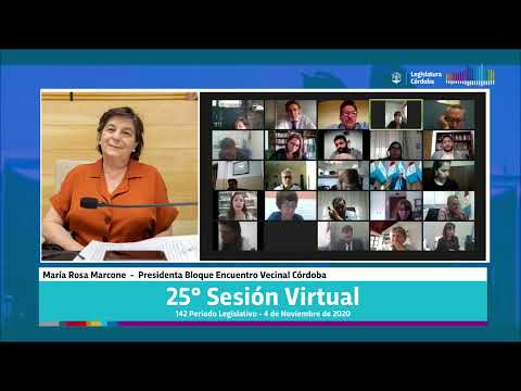 Vigésima Quinta Sesión Virtual - 142 Período Legislativo