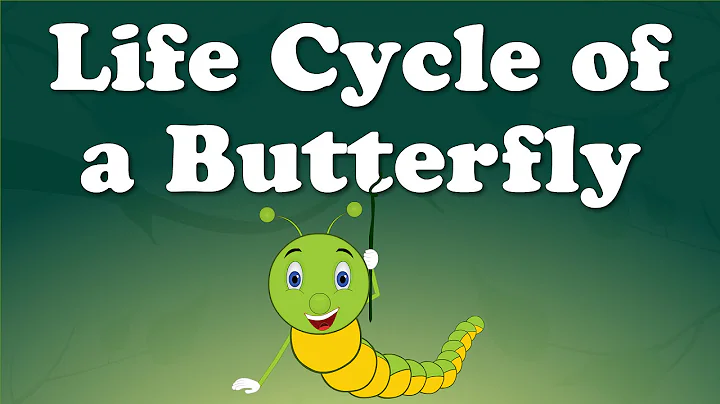 From Caterpillar to Butterfly | #aumsum #kids #science #education #whatif - DayDayNews