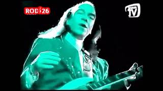 Erkin Koray Arap Saçı