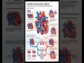 “Heart anatomy & pumping made easy in a single snapshot!” #biology #shorts #heartmodel