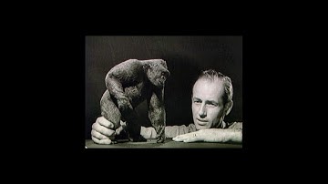 MMCC8051 Screen Investigations Video Essay Project : Stop Motion Animation