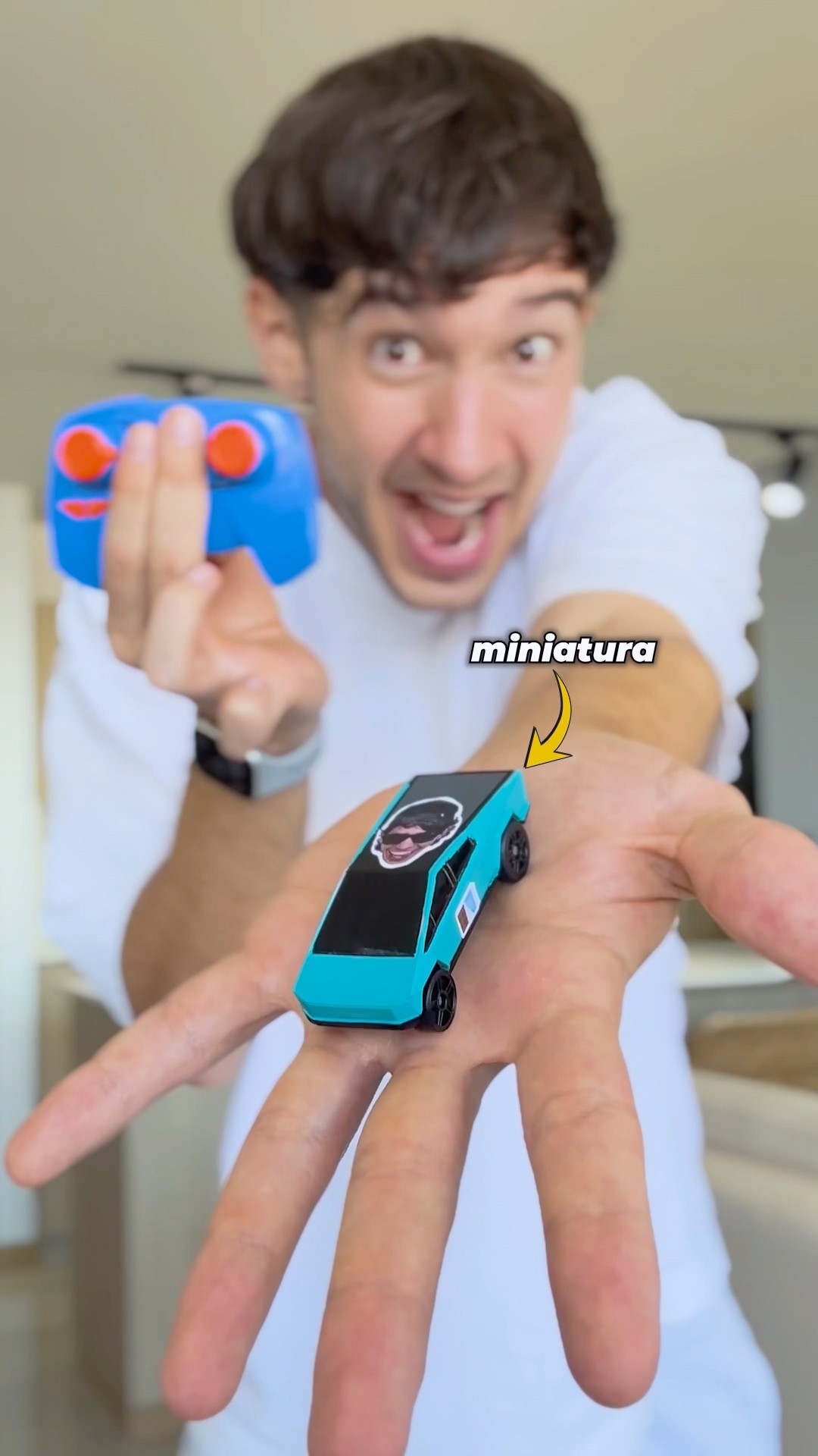 Hice el carro de Andy miniatura ?