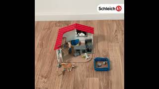 hoe zit het product Schleich Farm World Dierenartspraktijk met Huisdieren 42502 er uit