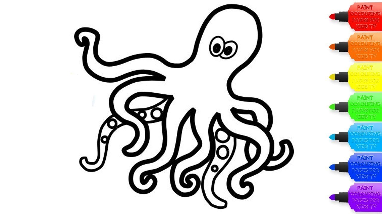 squid coloring pages