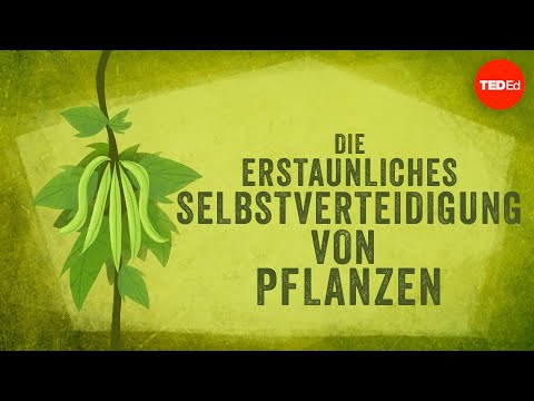 Video: Interessante Pflanzenabwehr – Wie verteidigt sich eine Pflanze gegen Fressfeinde