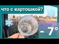 Первые заморозки!Жестокие бройлеры, спасли цыплят. Купил брус и доску. Выкопали наконец-то картошку.