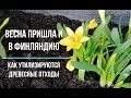 Татьяна. Весны волшебное дыханье. Как в Финляндии утилизируют древесные отходы