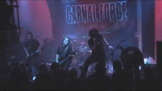 Carnal Forge - Numb (The Dead) - Live at The Cave, Stockholm (4/12-2009)