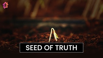 Seed of Truth - Kapil Gupta MD