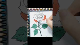 Rose Coloring Pages #relaxationcoloring #easycoloringpages #coloringpagesfree #adultcoloringpages