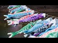 12K footage] Carp Streamer Village Festival【こいのぼりの里_12K】