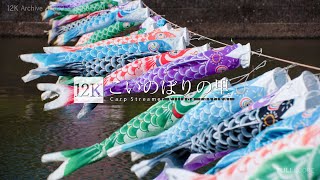 12K footage] Carp Streamer Village Festival【こいのぼりの里_12K】