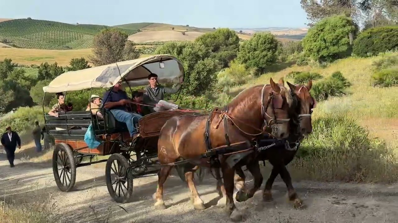Subida a la Sierra en Romería 2025