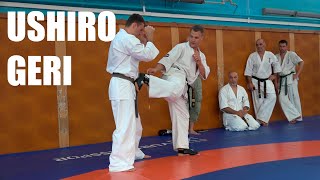 картинка: Ushiro Geri / Уширо гэри от сэнсея Андрея Чиркова