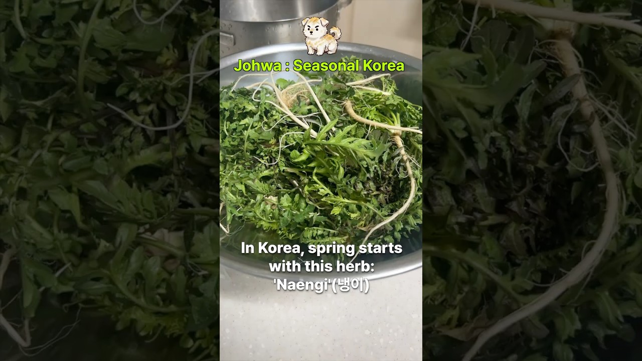 Tasting Spring in Korea: Naengi Doenjang-guk 🌱