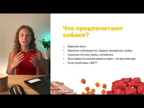 Как завладеть вниманием собаки? - лекция 1