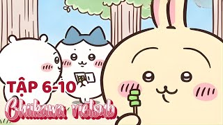 Chiikawa vietsub tập 6-10