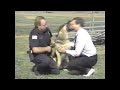 Police dog attacks news reporter