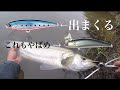 めっちゃ出たよ【デイシーバス　トップウォーターゲーム】