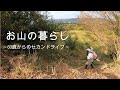 【お山の暮らし 017 】60歳主婦の晩秋の山斜面草刈り　強風の中で休耕田あぜ道の草木も刈ってみた