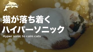 猫のためのハイパーソニック音楽｜留守番でも安心。猫が落ち着く映像と癒される音楽,　5時間　キャットセラピー　睡眠音楽 by 369Cat Kukuru healing 1,169 views 4 months ago 5 hours, 10 minutes