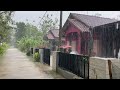 Heavy rain walks in my village  green and refreshing village  terrifying sudden powerful lightning