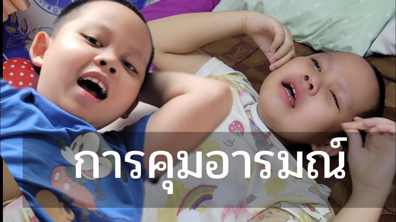 การจัดการอารมณ์ออทิสติก