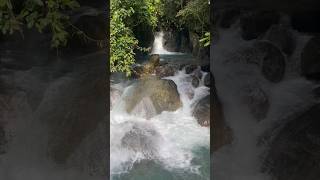 Leuwi Hejo bikin candu #LeuwiHejo #BogorHiddenGem #HealingPlace #NatureVibes #ExploreIndonesia