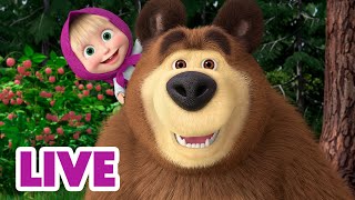 🔴 Live 🐻👧 Masha Y El Oso 2024 🤗 Encantada De Volver A Verte 🎬 Masha And The Bear