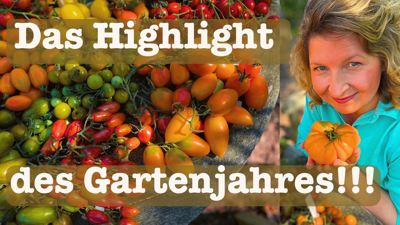 #100 🍅 Die Besten Tomatensorten 2025 🍅 aus meinem Garten 🍅 18 neue Lieblingssorten