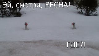 МАЙСКАЯ МЕТЕЛЮШКА ВОЕТ, ЗАМЕТАЕТ, МАТУШКУ ЗЕМЛЮ СНЕГОМ ПОКРЫВАЕТ!