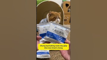 Baking soda hạt vũ khí giúp cát vệ sinh luôn khô ráo, sạch mùi #notapetvn #thucung #pet #cat #cute