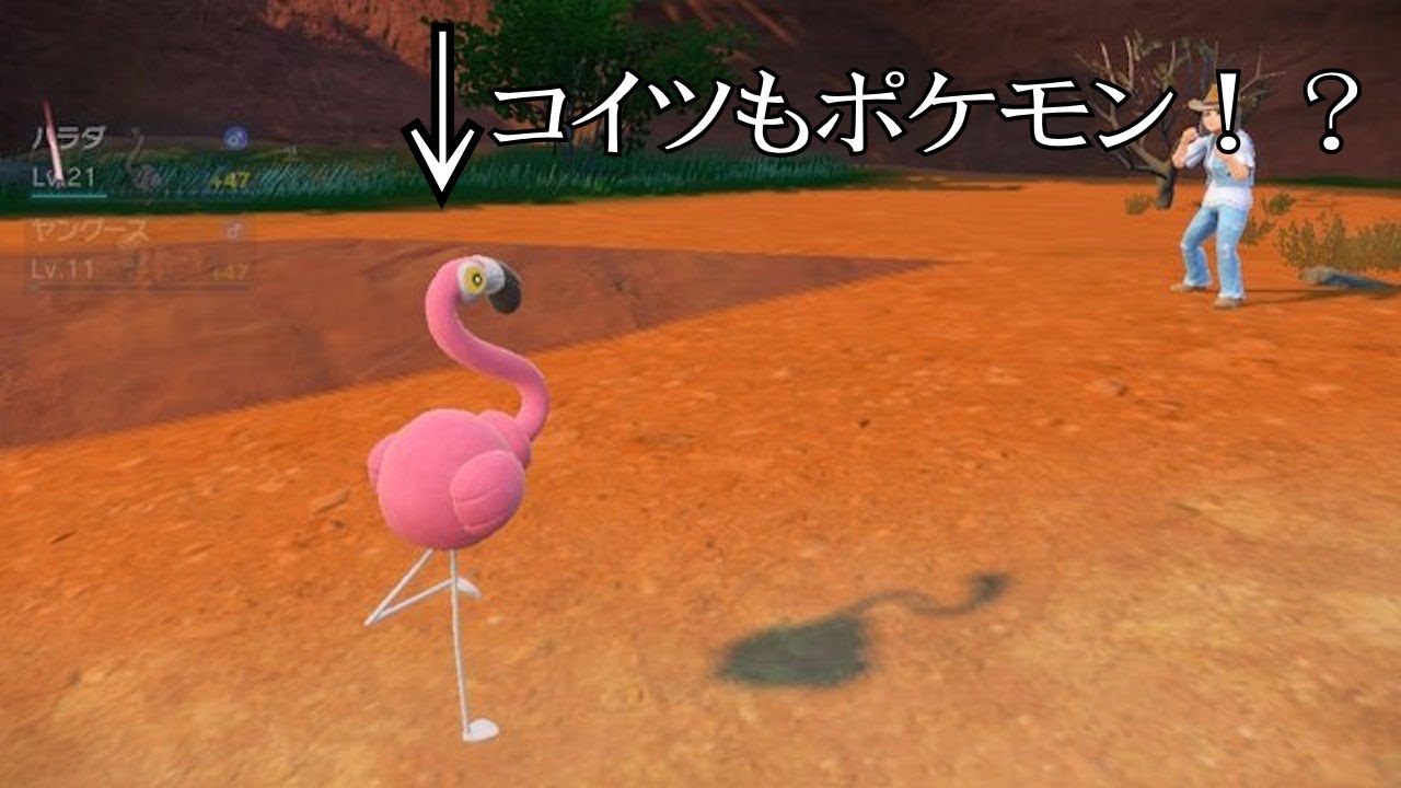 流行りにライドオン ポケモンsv ポケットモンスターヴァイオレット 実況プレイ Youtube