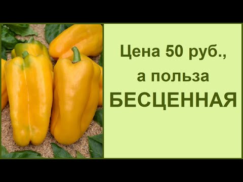 Диатомит садовый (почвоулучшитель) купить для сада и огорода